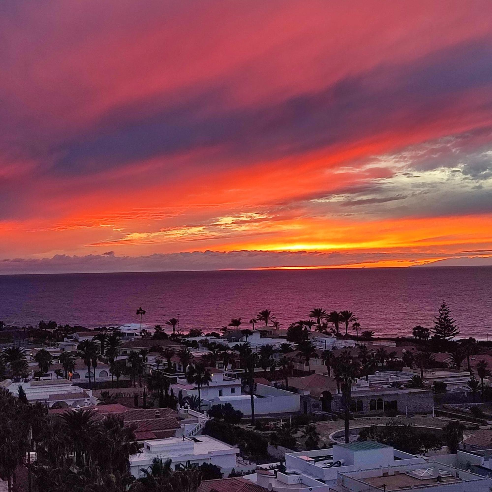 דירות פאלם-מאר Margherita House Tenerife, Wonderful Ocean View מראה חיצוני תמונה